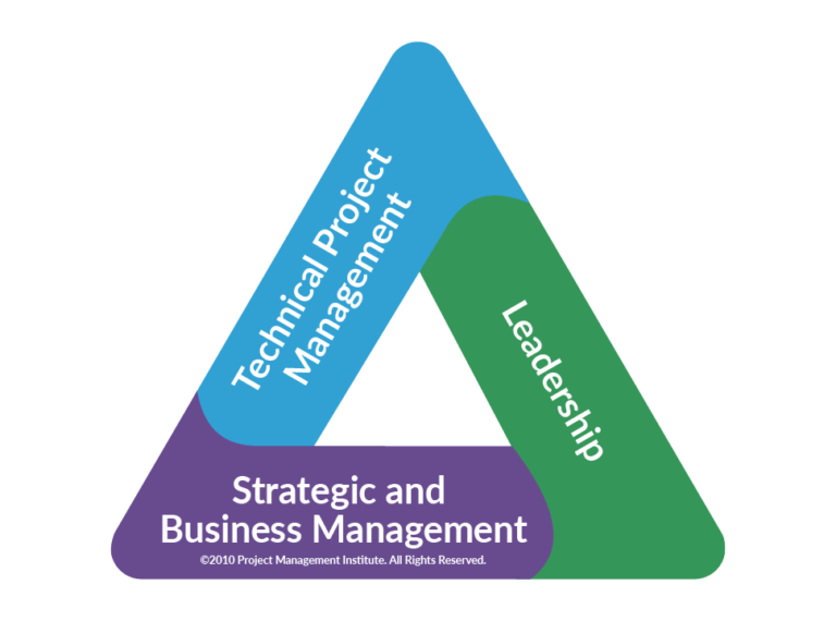 Project management & AI: a vision for the next decade.